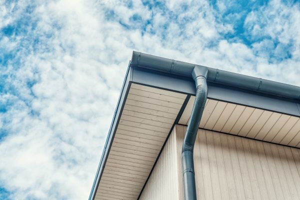 Gutter Fascia Repair in Winter Park