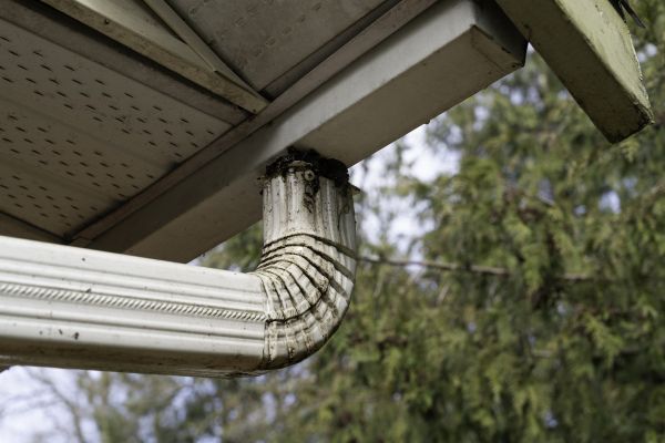 Roof Drain Replacement in Winter Park